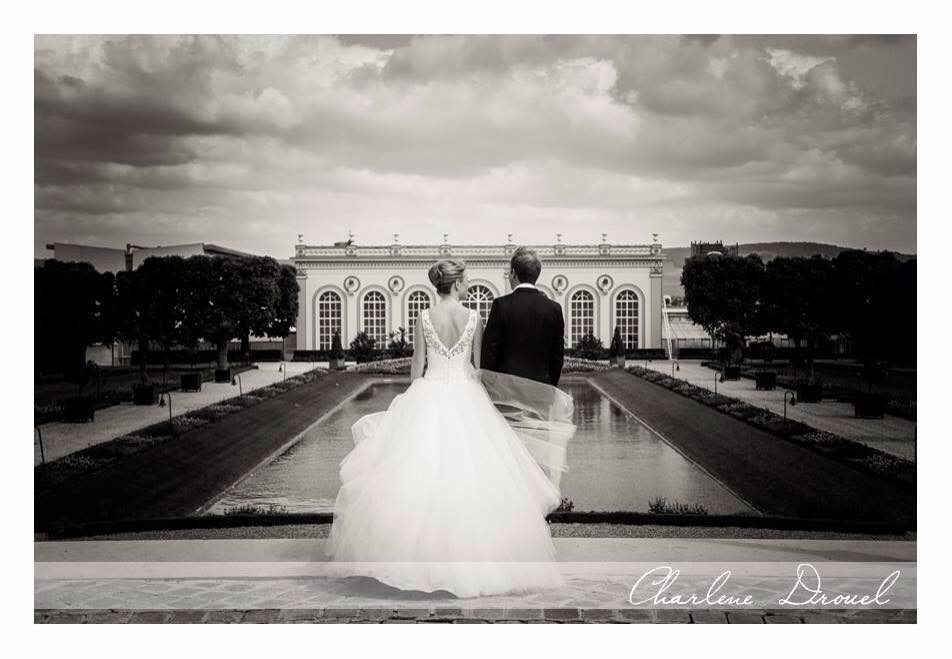 11198428_10152827999648663_193810369_n