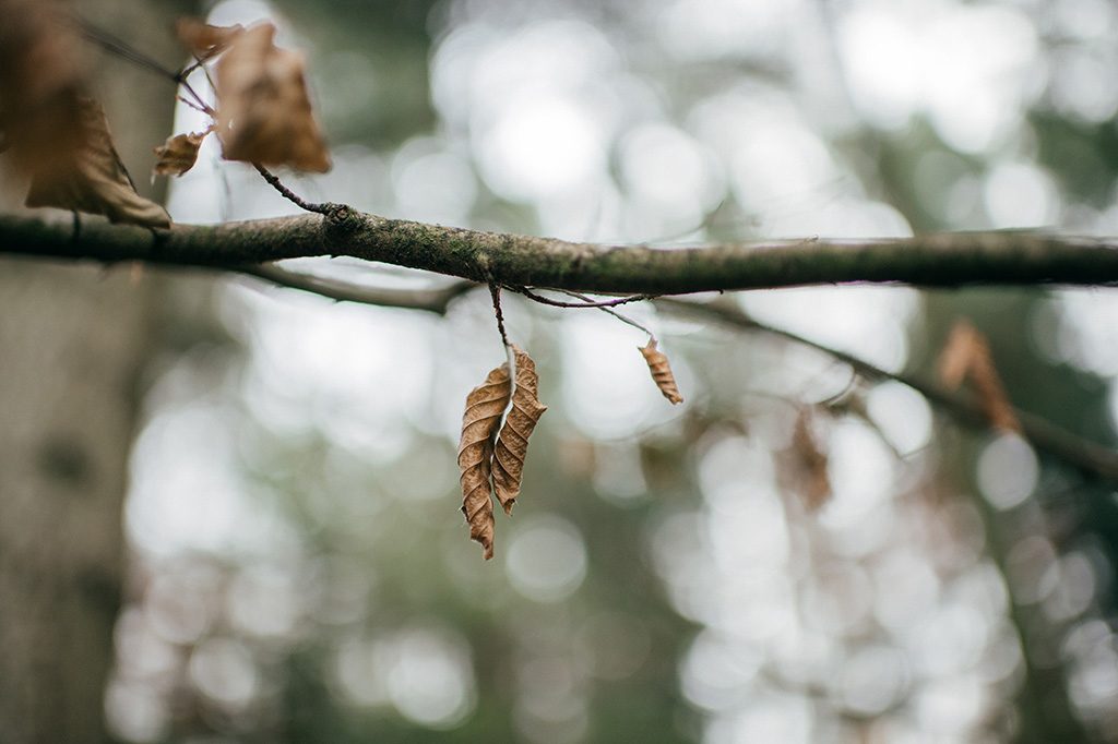 inspirationautomne_cindyjeudyjonathan-udot6